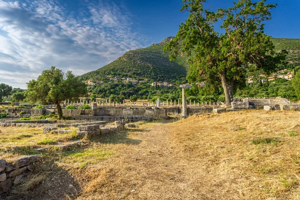 Messini Grekland Juni 2021 Ruiner Den Antika Messene Arkeologiska Platsen — Stockfoto