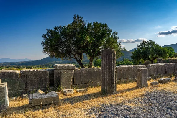 メッシーニ ギリシャ 6月20 2021 古代メセネ遺跡遺跡 ペロポネソス ギリシャ 古代ギリシャで最も保存状態の良い都市の一つで 目に見える遺跡は紀元前4世紀より前に遡る — ストック写真