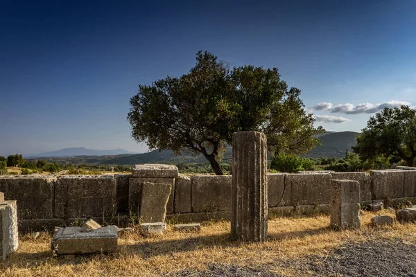 メッシーニ ギリシャ 6月20 2021 古代メセネ遺跡遺跡 ペロポネソス ギリシャ 古代ギリシャで最も保存状態の良い都市の一つで 目に見える遺跡は紀元前4世紀より前に遡る — ストック写真