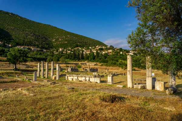 メッシーニ ギリシャ 6月20 2021 古代メセネ遺跡遺跡 ペロポネソス ギリシャ 古代ギリシャで最も保存状態の良い都市の一つで 目に見える遺跡は紀元前4世紀より前に遡る — ストック写真