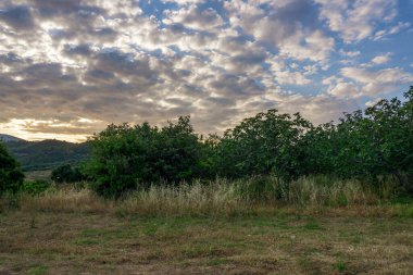 Messini, Yunanistan - 20 Haziran 2021: Antik Messene arkeoloji sahasındaki kalıntılar, Moreloponnese, Yunanistan. Yunanistan 'ın en iyi korunmuş antik kentlerinden biri. Tarihi M.Ö. 4. yüzyıla dayanıyor..