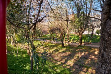 Kalamata City, Messenia, Yunanistan 'daki Kalamata Belediye Demiryolu Parkı' ndan manzara.