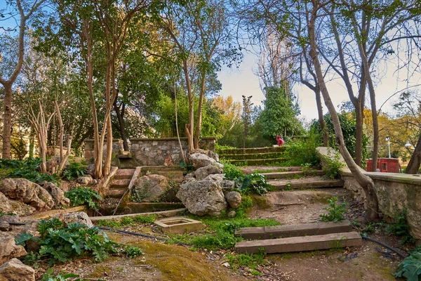 Scénický Pohled Městského Parku Kalamata Kalamatě Messenia Řecko — Stock fotografie