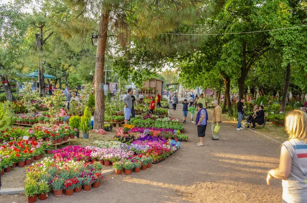 Scénický Pohled Městského Parku Kalamata Kalamatě Messenia Řecko — Stock fotografie