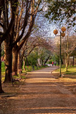 Kalamata City, Messenia, Yunanistan 'daki Kalamata Belediye Demiryolu Parkı' ndan manzara.