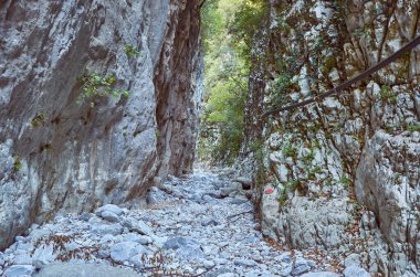Taygetus Dağı 'ndaki ünlü Ridomo vadisinden doğal manzara. Vadi, Messenia, Yunanistan 'daki Mani bölgesinde Kentro Avia ve Pigadia Köyleri yakınlarındaki jeomorfolojik oluşum elementleri açısından zengin ve derindir.