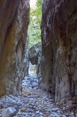 Taygetus Dağı 'ndaki ünlü Ridomo vadisinden doğal manzara. Vadi, Messenia, Yunanistan 'daki Mani bölgesinde Kentro Avia ve Pigadia Köyleri yakınlarındaki jeomorfolojik oluşum elementleri açısından zengin ve derindir.