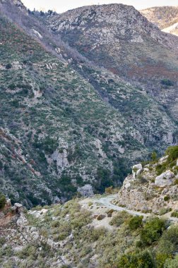 Taygetus Dağı 'ndaki ünlü Ridomo vadisinden doğal manzara. Vadi, Messenia, Yunanistan 'daki Mani bölgesinde Kentro Avia ve Pigadia Köyleri yakınlarındaki jeomorfolojik oluşum elementleri açısından zengin ve derindir.