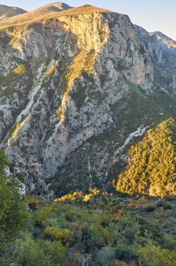 Taygetus Dağı 'ndaki ünlü Ridomo vadisinden doğal manzara. Vadi, Messenia, Yunanistan 'daki Mani bölgesinde Kentro Avia ve Pigadia Köyleri yakınlarındaki jeomorfolojik oluşum elementleri açısından zengin ve derindir.