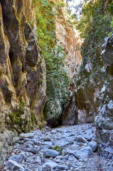 Naturlandschaft Von Der Berühmten Ridomo Schlucht Taygetus Gebirge Die Schlucht — Stockfoto
