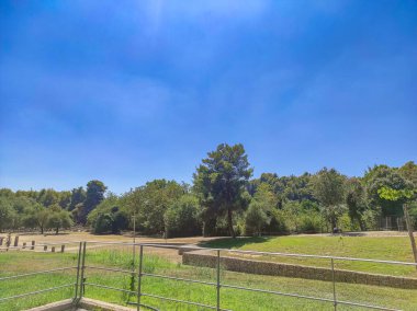 Antik Olympia 'nın arkeolojik alanı. Olimpiyat oyunlarının klasik zamanlarda doğduğu ve Olimpiyat meşalesinin bugün tutuştuğu yer.