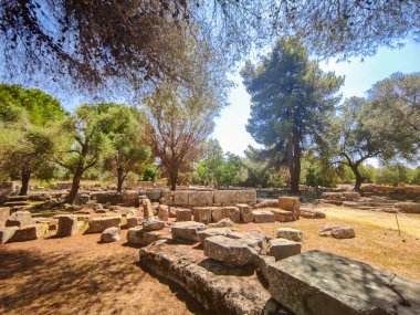 Antik Olympia 'nın arkeolojik alanı. Olimpiyat oyunlarının klasik zamanlarda doğduğu ve Olimpiyat meşalesinin bugün tutuştuğu yer.
