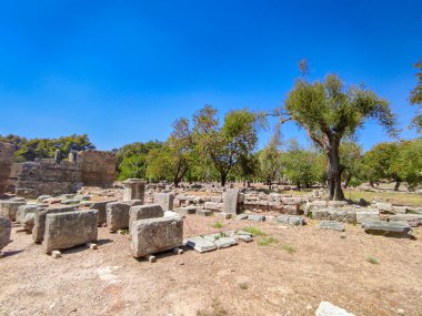 Antik Olympia 'nın arkeolojik alanı. Olimpiyat oyunlarının klasik zamanlarda doğduğu ve Olimpiyat meşalesinin bugün tutuştuğu yer.