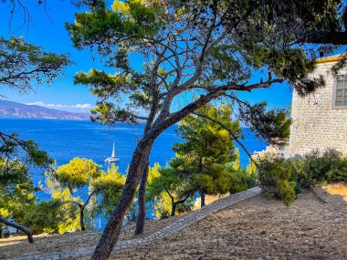 Hydra adası tepedeki çam ağaçlarının parkı boyunca uzanır. Saronik Körfezi Yunan adaları