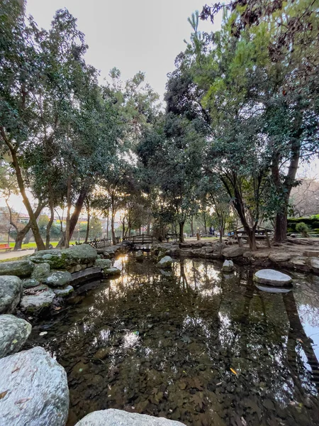 KATERINI, GREECE - 4 HAZİRAN 2026: Yunanistan 'ın Katerini kentindeki Renkler Parkı, Noel döneminde. Katerini merkezinden panoramik görünüm