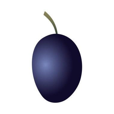 İzole edilmiş oval düz erik ağacı, beyaz arkaplanda koyu mavi renkli bir sapı var.