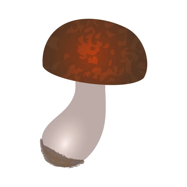 Flat Art Mushroom Spotted Brown Cap White Leg Black Soil — Stock Vector
