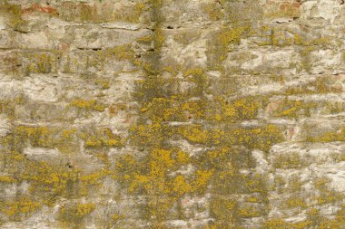 Tuğla doku çizikler ve çatlaklar ile