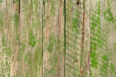 Ahşap doku çizikler ve çatlaklar ile