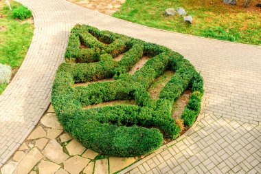 Parktaki bitkilerin çalılarından dikilmiş yaprak figürü. Sonbahar zamanı