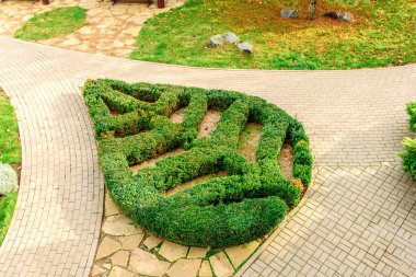 Parktaki bitkilerin çalılarından dikilmiş yaprak figürü. Sonbahar zamanı