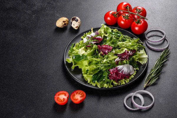 Koyu beton arka planda bir tabakta doğranmış sebze salatası.