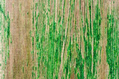 Doku, ahşap, duvar, arka plan olarak kullanılabilir. Çizik ve çatlaklarla ahşap doku