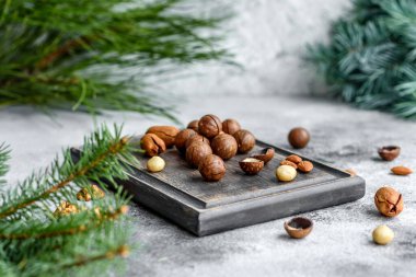 Ahşap kesme tahtasındaki ladin dallarının arka planına karşı açık beton arka planda çeşitli fındıklar var.