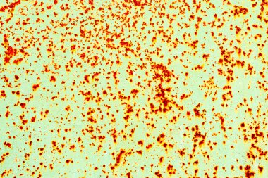 Çatlakları ve çizikleri olan metal bir duvarın dokusu arka plan olarak kullanılabilir.