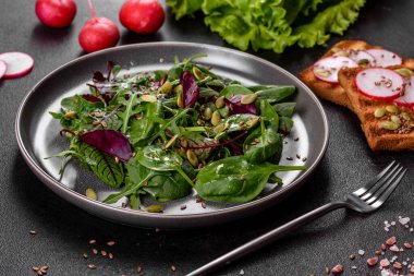 Mangold, roka, ıspanak ve pancar yapraklı taze sulu salata. Vejeteryan yemeği