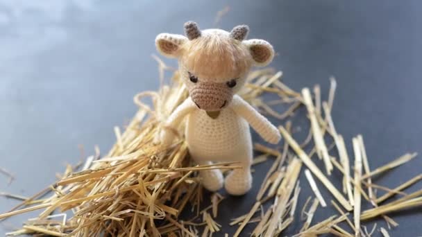 Knitted Toy Bull Light Threads Dark Background Needlework Crafts Your — Stock Video