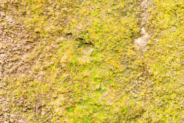 Doku, duvar, beton, arka plan olarak kullanılabilir. Çizik ve çatlaklarla dolu bir duvar parçası.