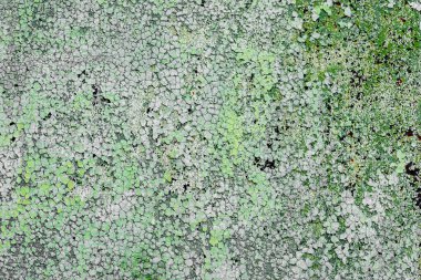 Çatlakları ve çizikleri olan metal bir duvarın dokusu arka plan olarak kullanılabilir.