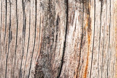 Doku, ahşap, duvar, arka plan olarak kullanılabilir. Çizik ve çatlaklarla ahşap doku