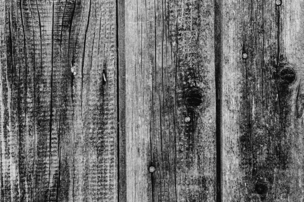 Tekstuuri Puu Seinä Sitä Voidaan Käyttää Tausta Puinen Rakenne Naarmuja — kuvapankkivalokuva