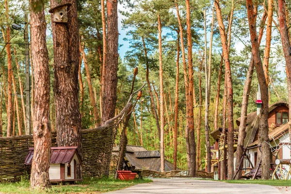 Location Vacances Gîte Forêt Campagne Chalet Bord Lac Pour Des — Photo