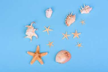 Plaj aksesuarları: kabuklu gözlük ve şapka ve renkli arka planda deniz yıldızları. Yaz arkaplanı