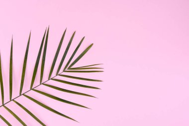 Plaj aksesuarları: kabuklu gözlük ve şapka ve renkli arka planda deniz yıldızları. Yaz arkaplanı