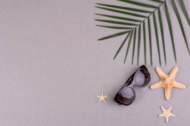 Kabuklu plaj aksesuarları ve renkli arka planda deniz yıldızları.