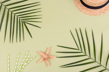 Kabuklu plaj aksesuarları ve renkli arka planda deniz yıldızları.