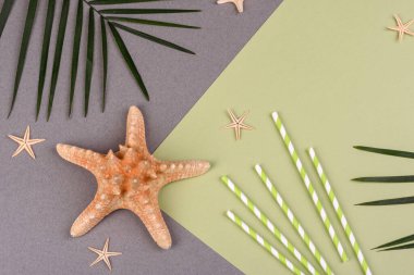 Kabuklu plaj aksesuarları ve renkli arka planda deniz yıldızları.