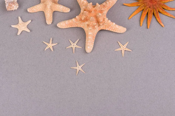Accesorios Playa Con Conchas Estrellas Mar Sobre Fondo Color — Foto de Stock