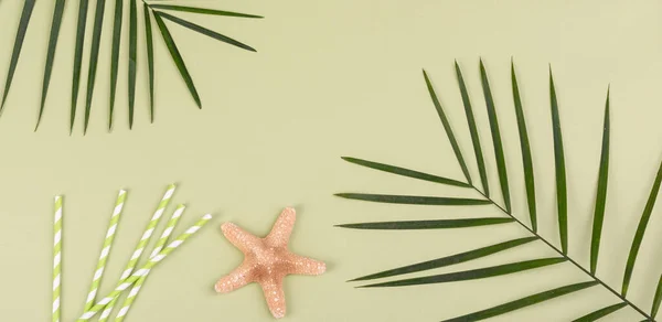 Accesorios Playa Con Conchas Estrellas Mar Sobre Fondo Color — Foto de Stock