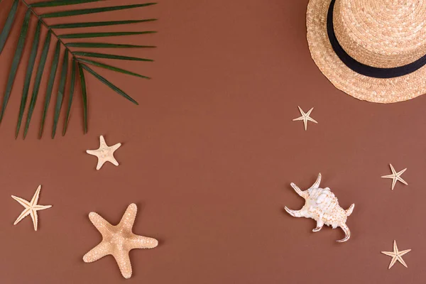 Accesorios Playa Con Conchas Estrellas Mar Sobre Fondo Color — Foto de Stock