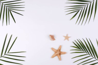 Plaj aksesuarları: kabuklu gözlük ve şapka ve beyaz arka planda deniz yıldızları. Yaz arkaplanı