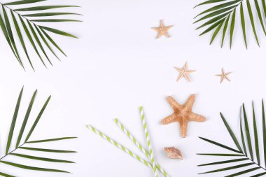 Plaj aksesuarları: kabuklu gözlük ve şapka ve beyaz arka planda deniz yıldızları. Yaz arkaplanı