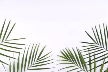 Plaj aksesuarları: kabuklu gözlük ve şapka ve beyaz arka planda deniz yıldızları. Yaz arkaplanı