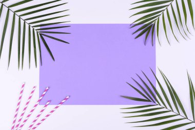 Plaj aksesuarları: kabuklu gözlük ve şapka ve renkli arka planda deniz yıldızları. Yaz arkaplanı