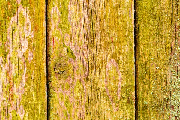 Textura Madeira Parede Pode Ser Usado Como Fundo Textura Madeira — Fotografia de Stock