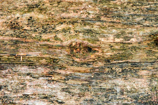 Texture Legno Parete Può Essere Utilizzato Come Sfondo Struttura Legno — Foto Stock